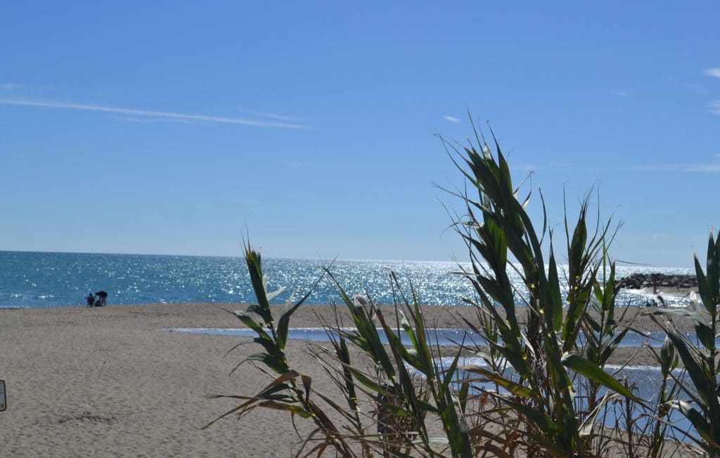 Strand van Camping Le Floride Au Barcarès Bord De Mer pyrenees orientales