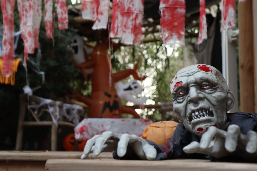 Camping Le Floride Le Barcarès (66) : Img 0032