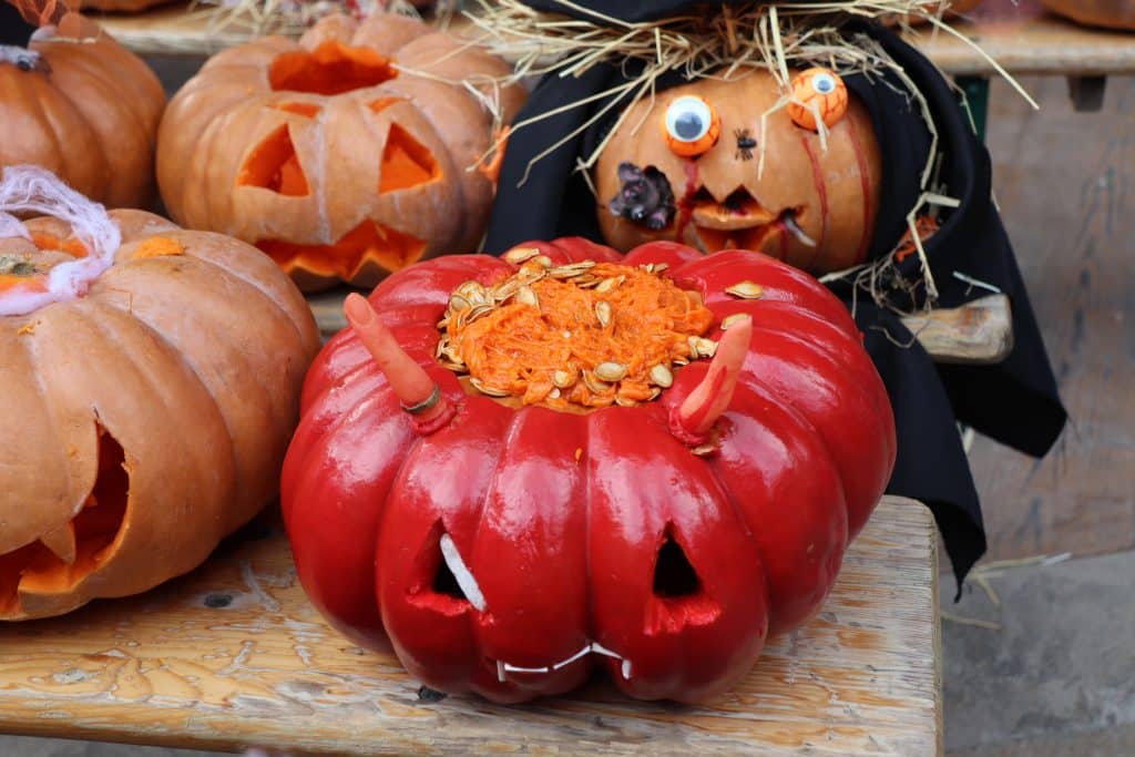 Camping Le Floride Le Barcarès (66) : Img 0216