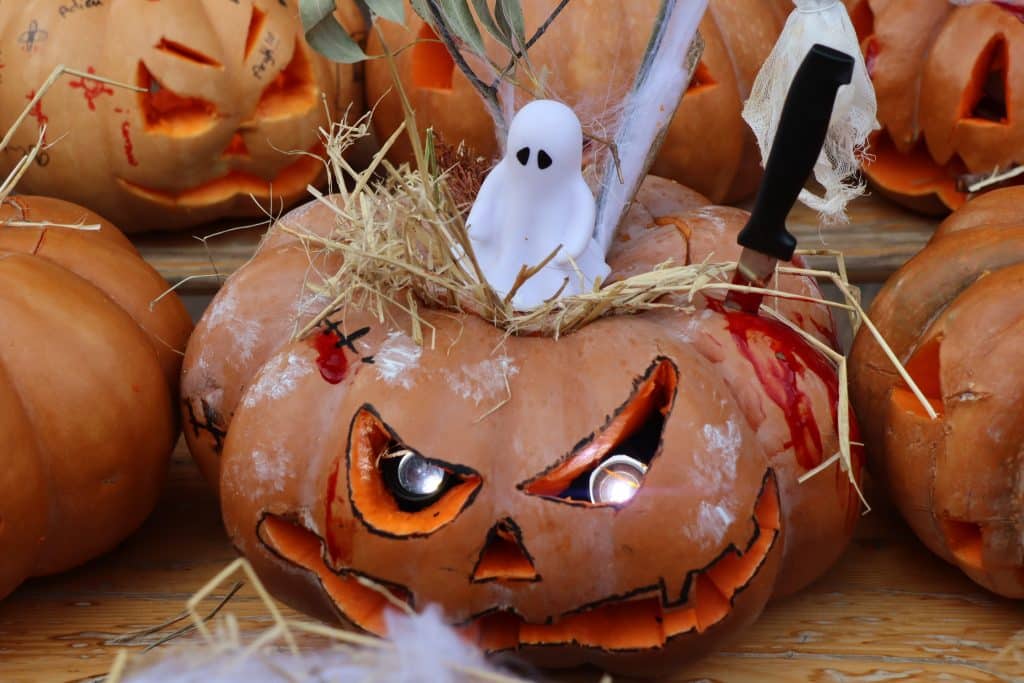 Camping Le Floride Le Barcarès (66) : Img 0218