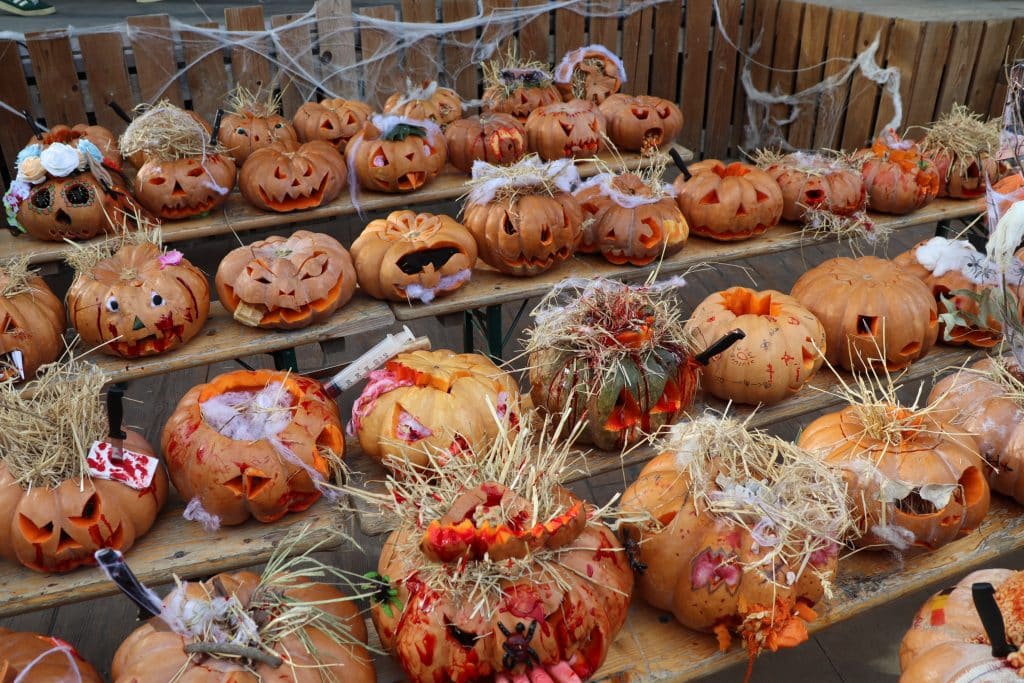 Camping Le Floride Le Barcarès (66) : Img 0222